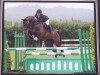 stallion Lothringer (Holsteiner, 1994, from Loutano)