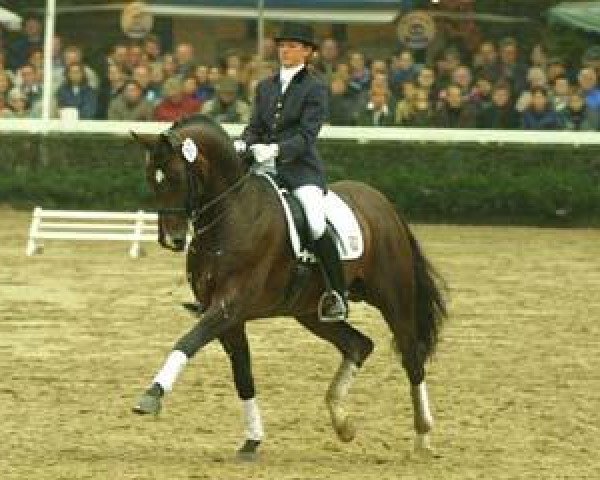 stallion Bmc Roman Nature (Rhinelander, 1995, from Rohdiamant)