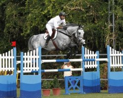 jumper Davos (Zangersheide riding horse, 2000, from Carthago)