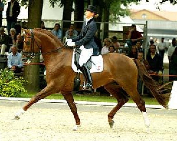 stallion Feinsinn (Rhinelander, 1996, from Fidermark)