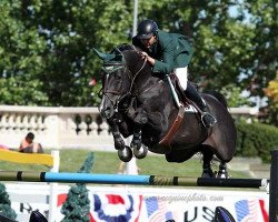 jumper Presley Boy (KWPN (Royal Dutch Sporthorse), 1997, from Concorde)