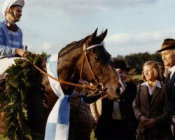 stallion Königsstuhl xx (Thoroughbred, 1976, from Dschingis Khan xx)