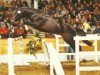 stallion Countdown (Hanoverian, 1988, from Cor de la Bryère)