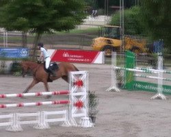 jumper Soliere 2 (Hanoverian, 2007, from Silvio I)