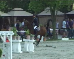 jumper Suma Ray (Hanoverian, 2006, from Salito)