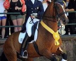 dressage horse Rafalca (Oldenburg, 1997, from Argentinus)