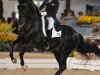 dressage horse Calecto V (Danish Warmblood, 1998, from Come Back II)