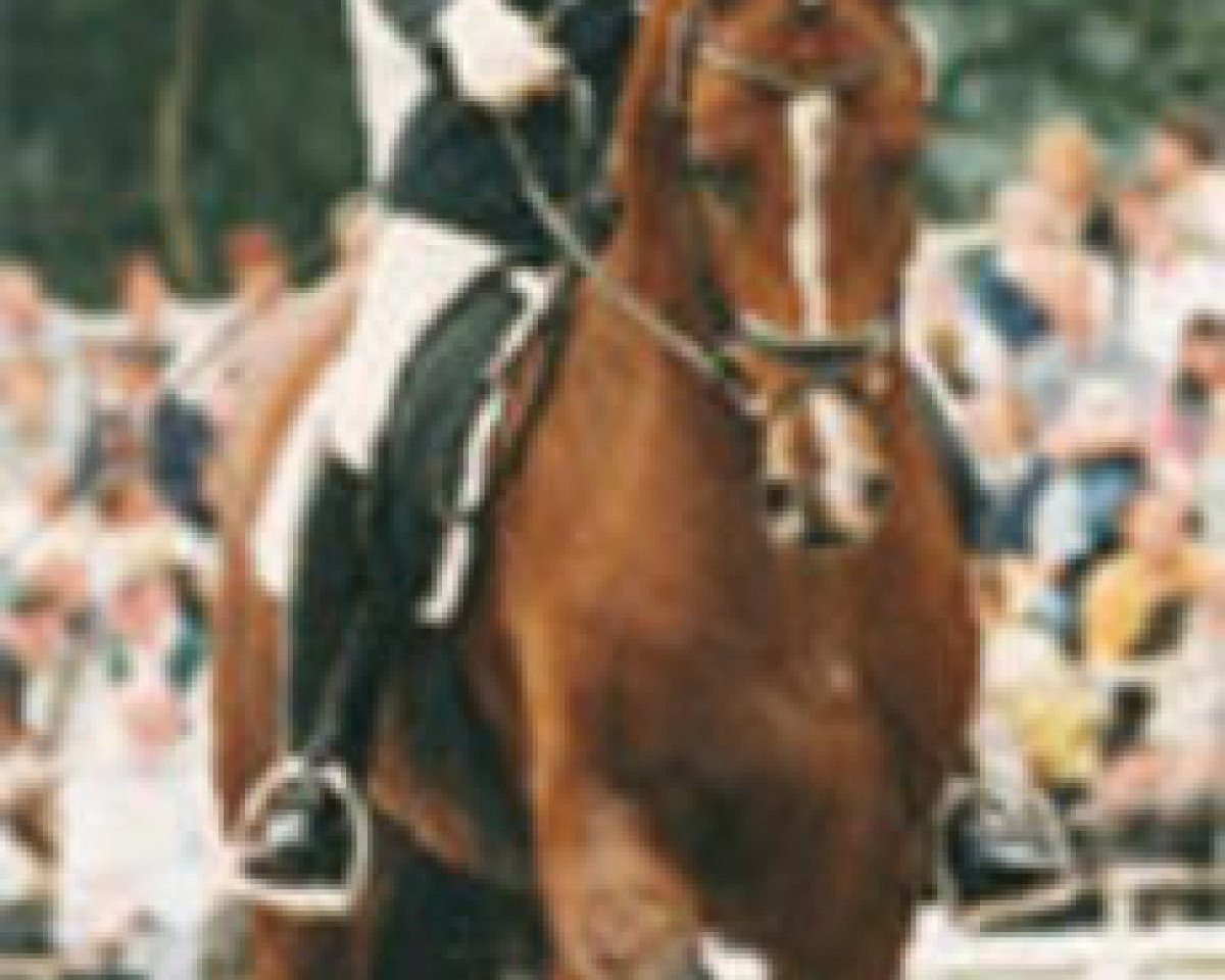 stallion Landjuwel Gold (Oldenburg, 1994, from Landadel)