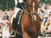 stallion Landjuwel Gold (Oldenburg, 1994, from Landadel)
