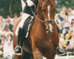 stallion Landjuwel Gold (Oldenburg, 1994, from Landadel)