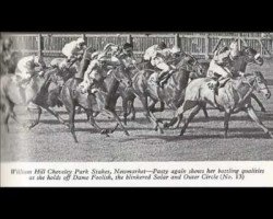 broodmare Pasty xx (Thoroughbred, 1973, from Raffingora xx)