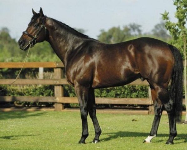 stallion Fasliyev xx (Thoroughbred, 1997, from Nureyev xx)