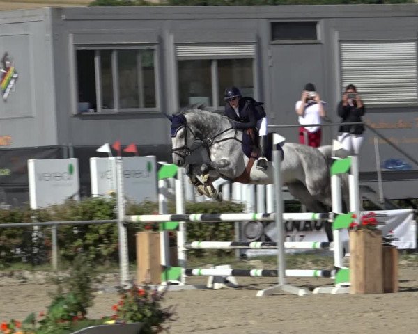 Reitturnier Weiswampach 2022
