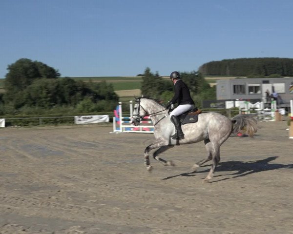 Reitturnier Weiswampach 2022