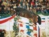 stallion Carry Wind (Holsteiner, 1999, from Corrado I)