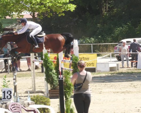 Reitturnier Heiligenwald 2022
