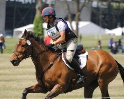 Pferd Kilrodan Abbott (Irish Sport Horse, 1999, von Clover Brigade)