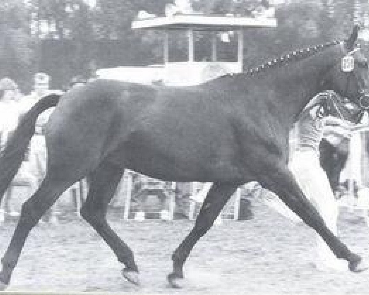 broodmare Gode (Rhinelander, 1971, from Garamond)