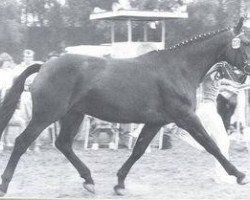 broodmare Gode (Rhinelander, 1971, from Garamond)