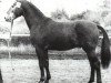 horse Gardestern I (Hanoverian, 1974, from Gotthard)