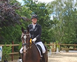 dressage horse Blickfang 20 (Hanoverian, 2016, from Buckingham)