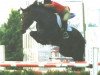 stallion Landjunge (Holsteiner, 1984, from Landgraf I)
