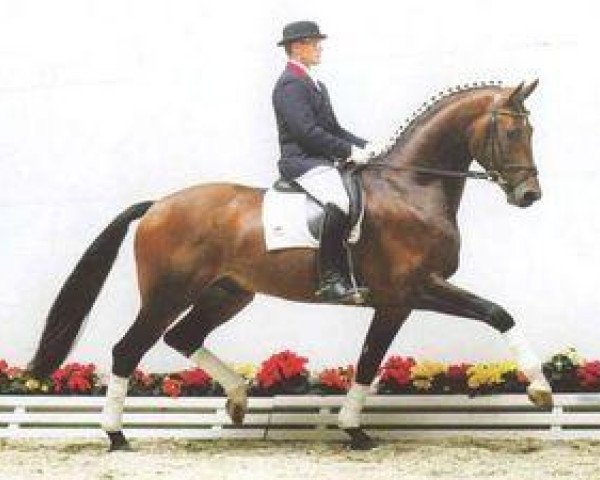 stallion Del Cento (Oldenburg, 2001, from De Niro)