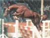 stallion Wogenbrecher (Hanoverian, 1985, from Werther)