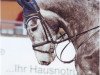 jumper Carlos B 2 (German Warmblood, 2006, from Cornetto 31)