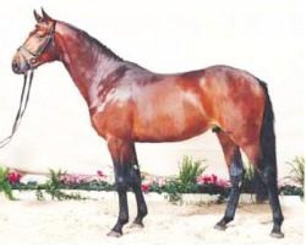 horse Exodus (Holsteiner, 1997, from Exorbitant xx)