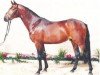 stallion Exodus (Holsteiner, 1997, from Exorbitant xx)