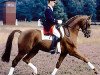 stallion Wanderbursch II (Hanoverian, 1986, from Wanderer)