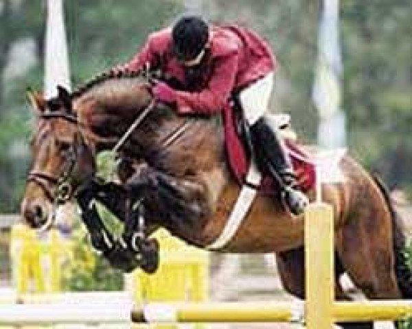 stallion Landclassic (Hanoverian, 1992, from Landadel)