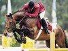 stallion Landclassic (Hanoverian, 1992, from Landadel)