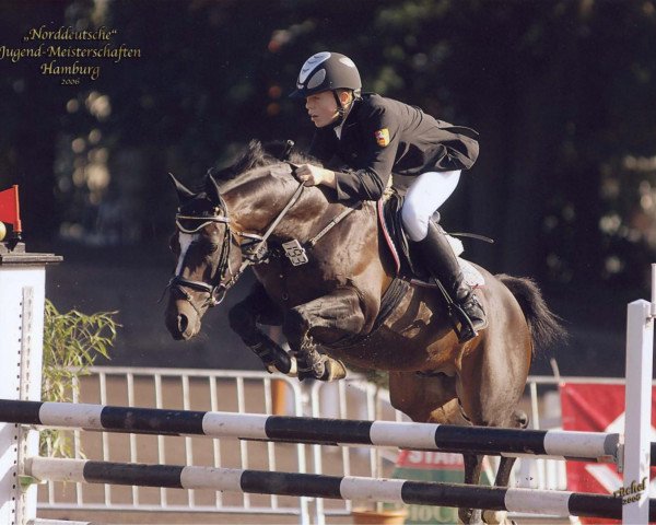 stallion FS Maracaibo (Westphalian, 1993, from Marsvogel xx)