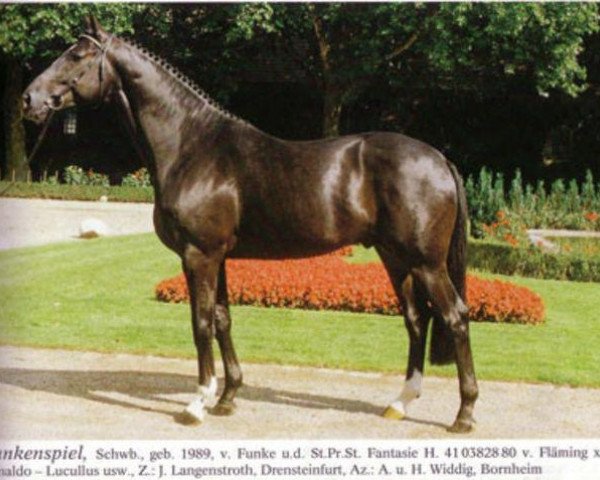 stallion Funkenspiel (Westphalian, 1989, from Funke)