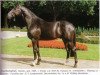 stallion Funkenspiel (Westphalian, 1989, from Funke)