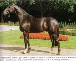 stallion Funkenspiel (Westphalian, 1989, from Funke)