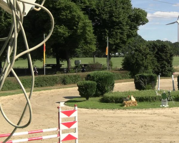 Reitturnier Recklinghausen 2022