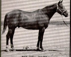 Deckhengst Rey Jay (Quarter Horse, 1955, von Rey Del Rancho)