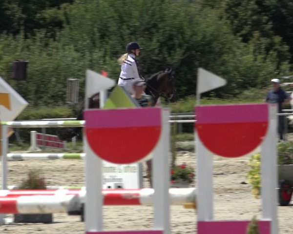 Reitturnier Weiswampach 2022