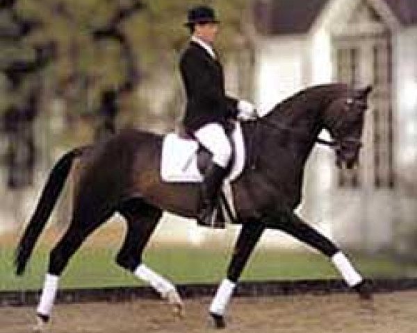 stallion Niclas xx (Thoroughbred, 1986, from Cagliostro xx)