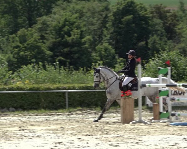 Reitturnier Weiswampach 2022