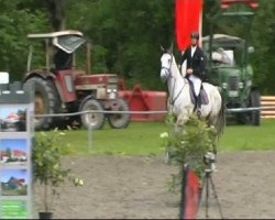 jumper Cobold 40 (Hungarian Warmblood, 2003, from Coradus)