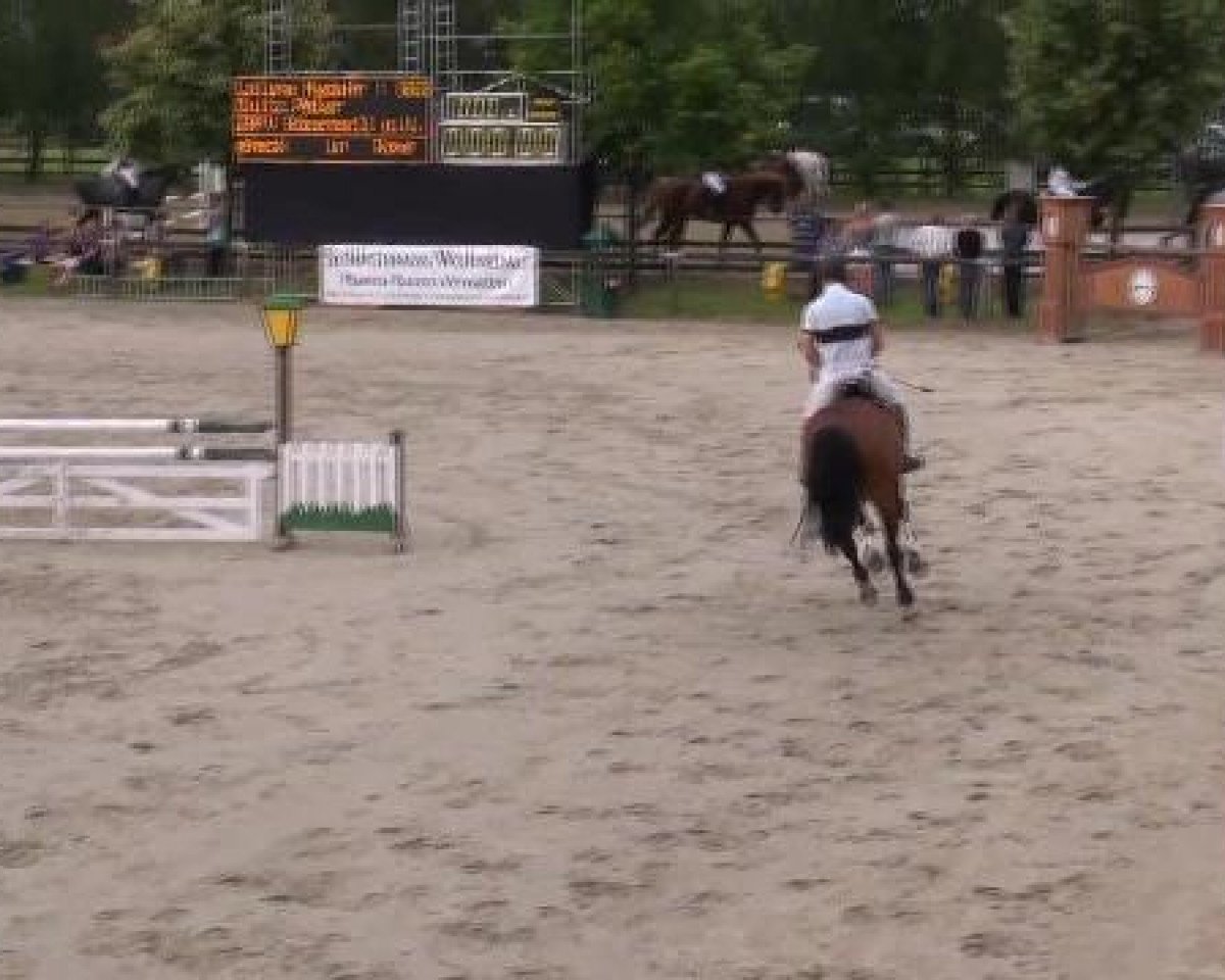 dressage horse Laluna Myday (Westphalian, 2004, from Lord Sinclair I)
