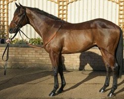 horse Azizaan xx (Thoroughbred, 2013, from Dubawi xx)