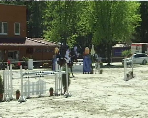 Springpferd Lisha S (Westfale, 2000, von Lancer II)