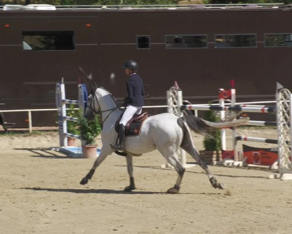 Reitturnier Heiligenwald 2022