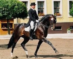 stallion Juventus (Mecklenburg, 1989, from Juon II)