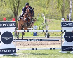 Springpferd Jacardi S (Belgisches Warmblut, 2009, von Cicero Z van Paemel)